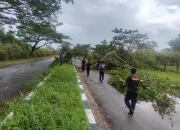 Personil Damkar Seruyan Bersihkan Pohon Tumbang di Kuala Pembuang I