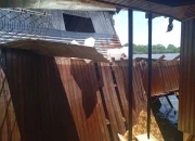 Petugas Damkar Evakuasi Barang dari Rumah Roboh di Tepi Sungai Seruyan